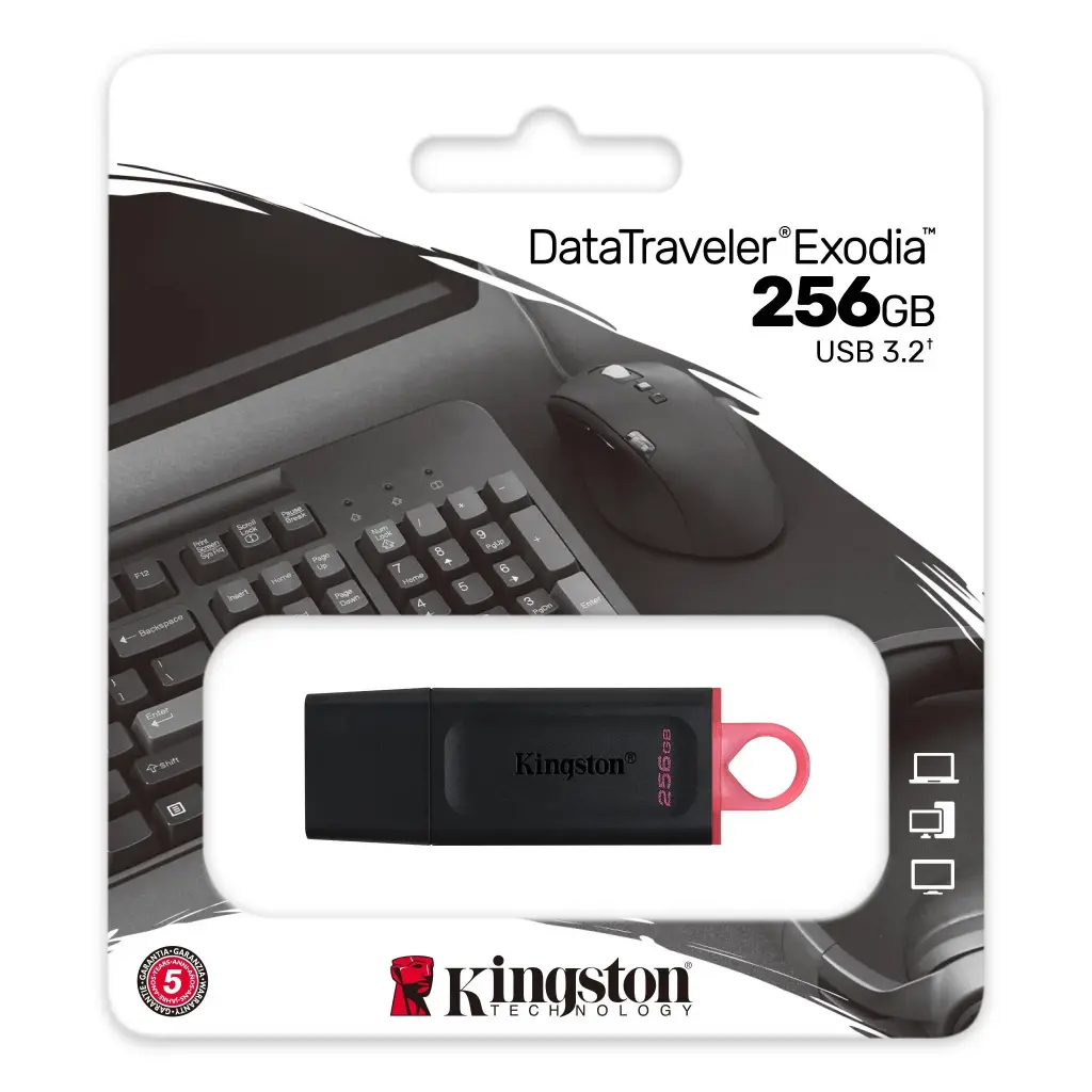 Kingston DataTraveler Exodia USB Flash Drive 256GB