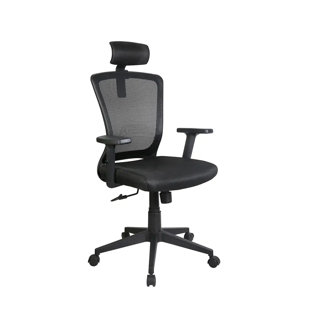 Xtech Avignon | Executive Office Chair 