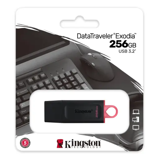 Kingston DataTraveler Exodia USB Flash Drive 256GB